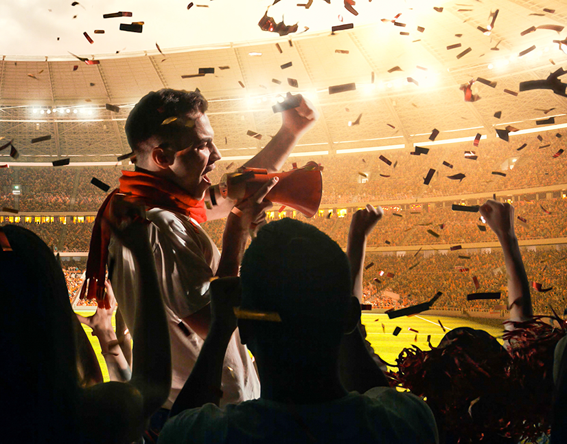 Elacin hearing protection during sporting events